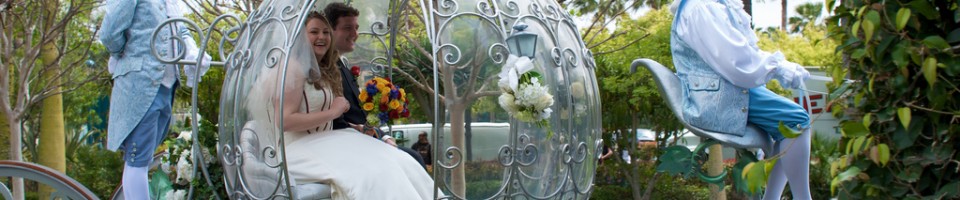 fairytale wedding on a budget